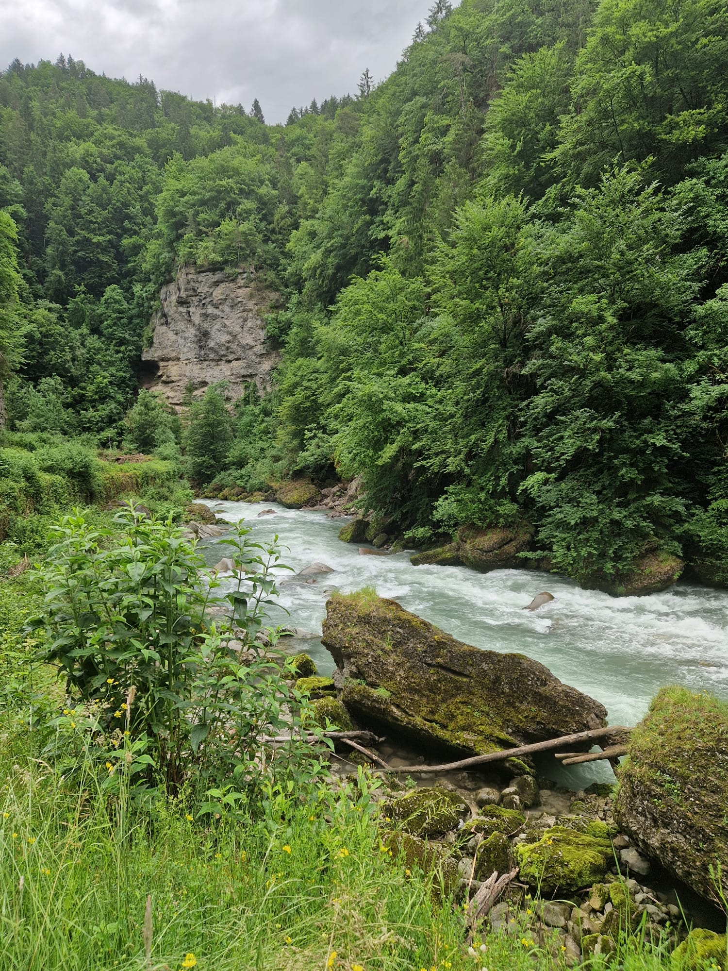 IMG-20250615-WA0044