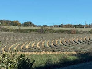 ROADTRIP Balade dans les Alpes de haute Provence le samedi 23 mai 2026