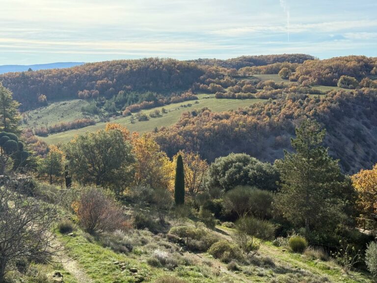 ROADTRIP  Rallye de l&rsquo;Automne dimanche 15 novembre 2026