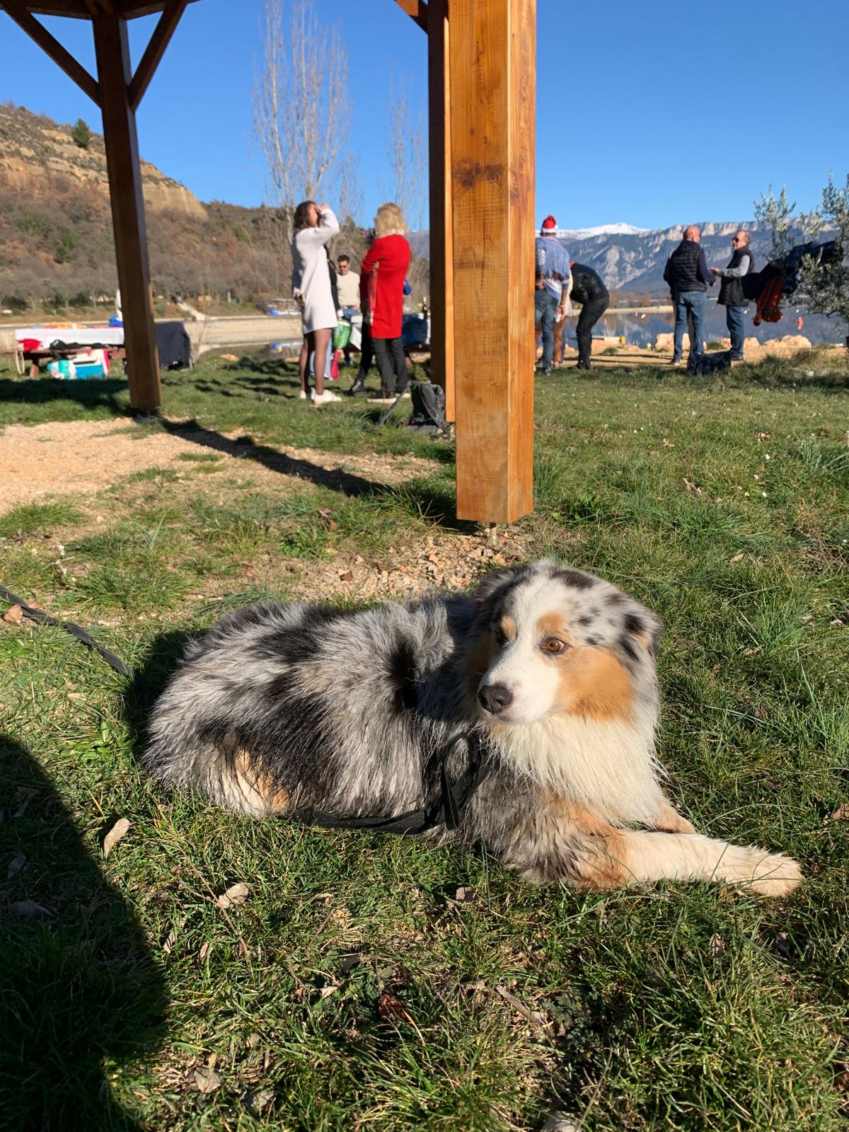 WhatsApp Image 2025-12-29 at 23.22.39 (6)